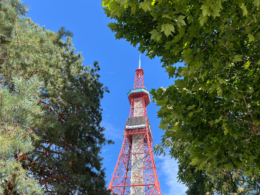 大通り公園から見た札幌テレビ塔の写真のフリー素材