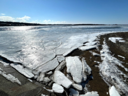 凍った海面のフリー写真素材