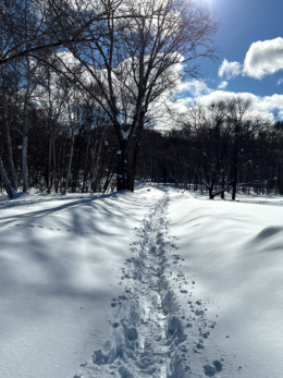 雪の上の道の写真の無料素材