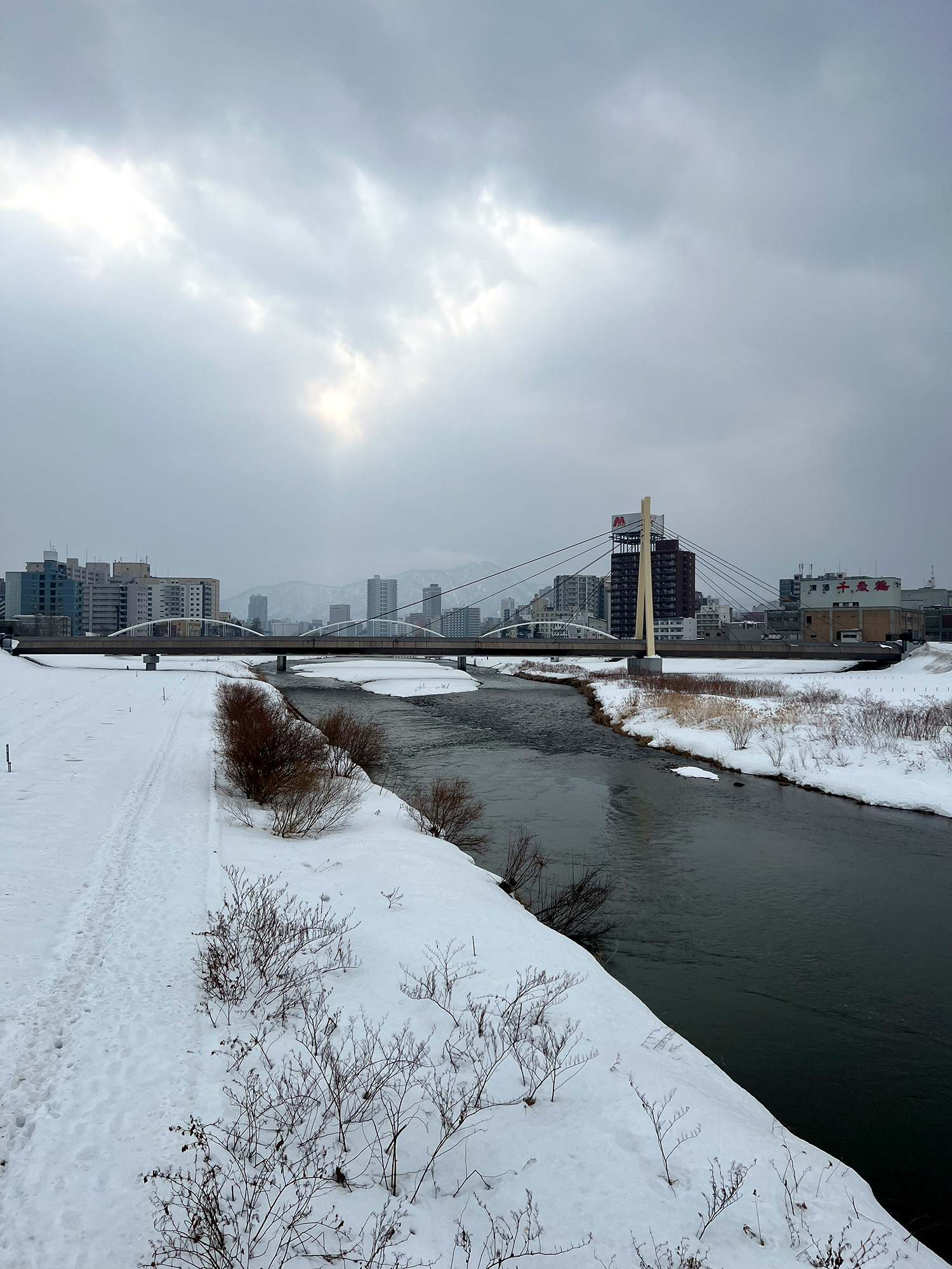 冬の豊平川の無料写真素材