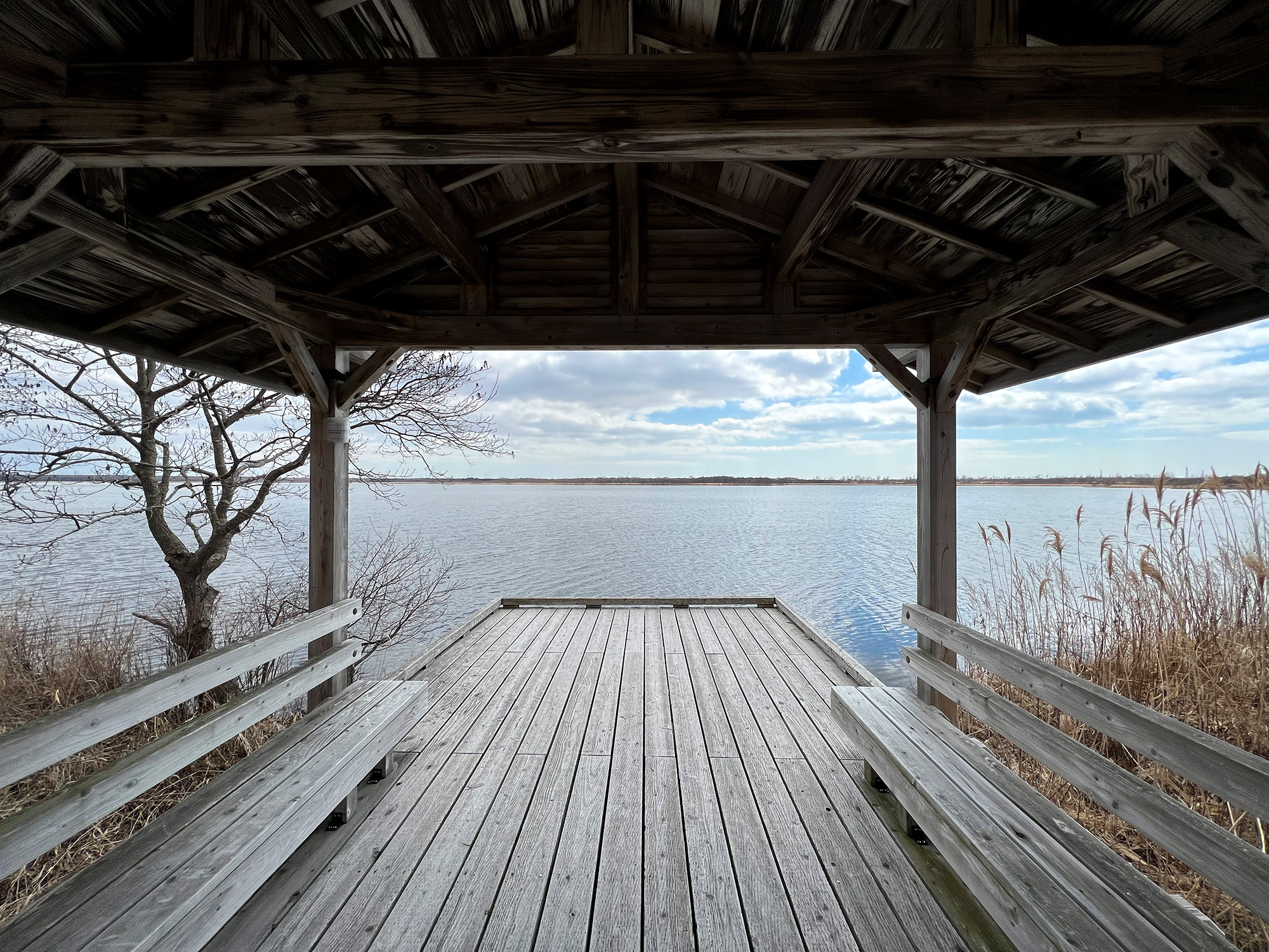 北海道のウトナイ湖の無料写真素材