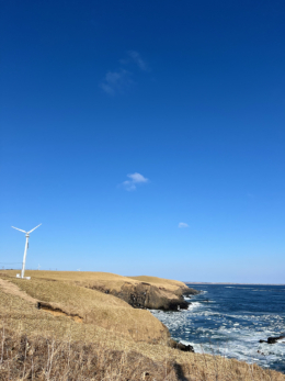 海の近くの風力発電機の無料写真素材