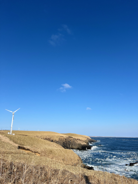 海の近くの風力発電機の無料写真素材