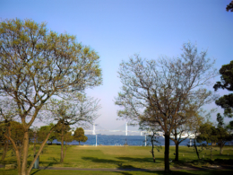 横浜の公園から見た横浜港の無料写真素材